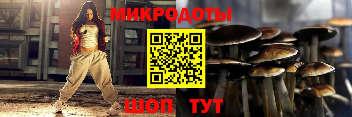 Псилоцибиновые грибы MAGIC MUSHROOMS  Вход с VPN  Химки  Галлюциногенные грибы прущие грибы 